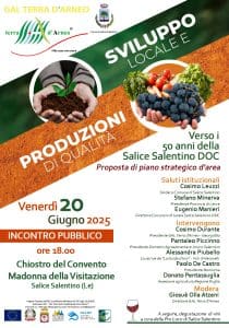 Salice Salentino DOC: Mezzo Secolo di Gusto e Territorio